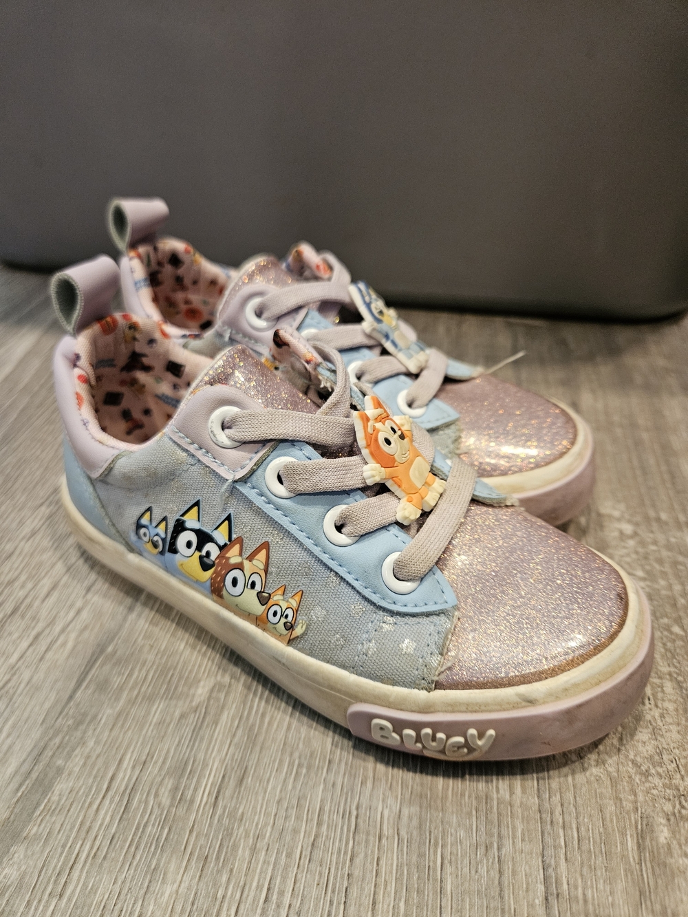 Bluey Shoes 10t